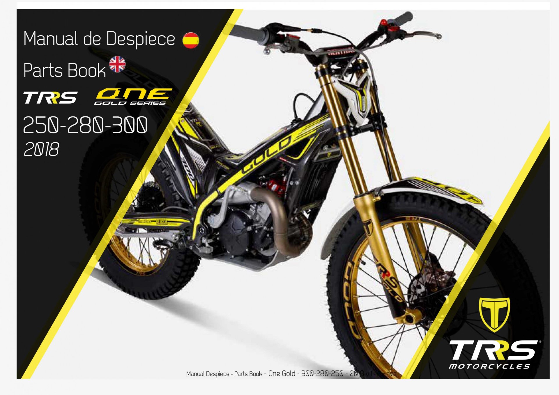 2018 ONE GOLD