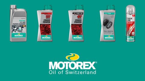 MOTOREX