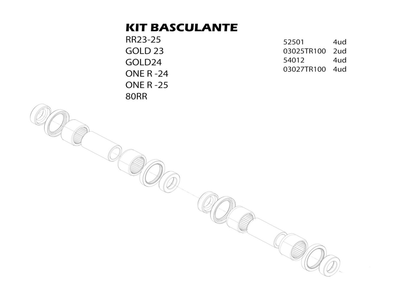 KIT0301RT01 - KIT SWINGARM (RR 23 - 25, GOLD 23 - 24, ONE R 24 - 25, RR 80)